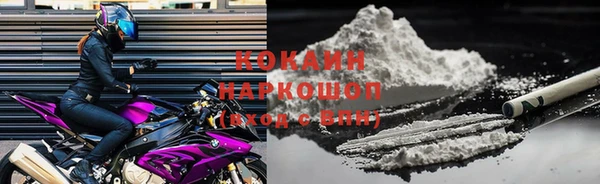 кокс Арсеньев
